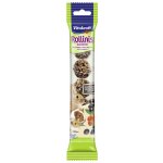 Vitakraft Rollinis Snack lesní ovoce 49 g – Zboží Mobilmania