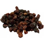 Salvia Paradise Schizandra čínská plod HQ 10 ks 100 g – Zboží Dáma