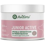 AniForte Junior Active prášek pro štěnata a mladé psy 250 g – Hledejceny.cz