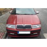 Škoda Octavia I 00-10 Zimní clona | Zboží Auto