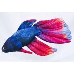 GABY Bojovnice pestrá 53 cm – Zboží Dáma