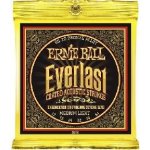 ERNIE BALL 2556 – Zboží Dáma