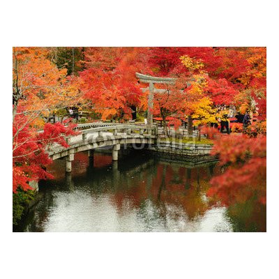 WEBLUX 63969080 Samolepka fólie Autumn foliage at Eikando Temple in Kyoto Podzimní listí v chrámu Eikando v Kjótu Japonsko rozměry 100 x 73 cm – Zbozi.Blesk.cz