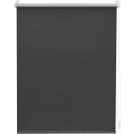 Lichtblick Termo zatemňovací roleta 55 x 150 cm, antracitová – Sleviste.cz