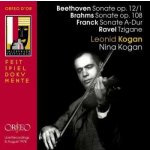 Csar Franck - Beethoven; Brahms; Franck - Violin Sonatas CD – Hledejceny.cz