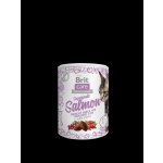 Brit Care Cat Snack Superfruits Salmon 100 g – Zboží Mobilmania