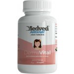 Medveď natural DermaVital 30 kapslí – Hledejceny.cz