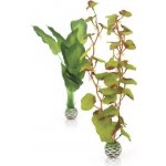 Biorb 46100 hedvábné rostliny střední, zelené, 2 ks, 29 cm – Zboží Mobilmania