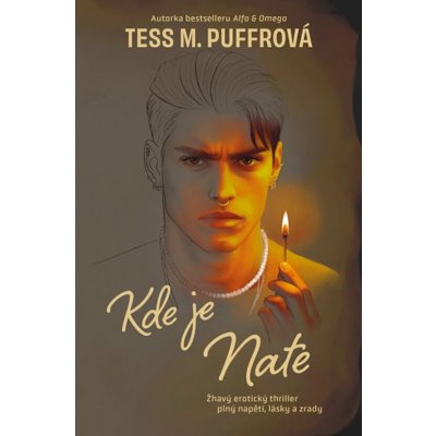 Kde je Nate - Tess M. Puffrová – Zboží Dáma