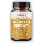 Boswellia Serrata 60 kapslí – Hledejceny.cz