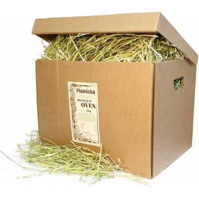 Plavnická Bio zelený oves 2 kg – Hledejceny.cz