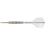 Target Japan George Nishitani Raptor G5 90% 21g steel – Zboží Dáma