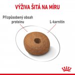 Royal Canin Medium Light Weight Care 3 kg – Zboží Mobilmania