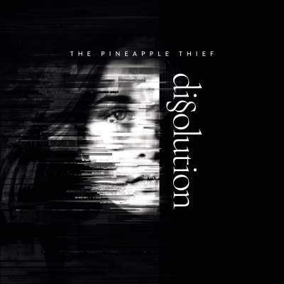 Pineapple Thief - Dissolution LP