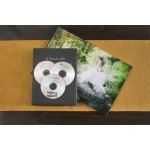 Verbatim DVD-R 4,7GB 16x, bulk box, 10ks (43729) – Zboží Živě