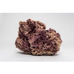 Macenauer Jurassic Reef-Rock 12 kg – Zboží Dáma Macenauer Jurassic Reef-Rock 12 kg – Zboží Dáma