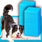 Purlov 21599 Tréninkové absorpční podložky pro psy 60 x 40 cm 100 ks – Hledejceny.cz