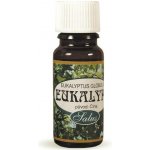 Saloos esenciální olej Eukalyptus Čína 10 ml – Hledejceny.cz