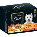Cesar Adult Selektion kuřecí hovězí zelenina v želé 12 x 100 g – Zboží Mobilmania