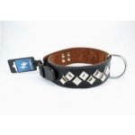 PROFIZOO Obojek MOLOSS pyramidy 2ř. – Zboží Mobilmania