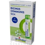 RICINUS COMMUNIS POR 5CH GRA 3X4G – Zboží Dáma