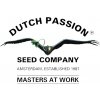 Semena konopí Dutch Passion Shaman semena neobsahují THC 3 ks