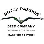 Dutch Passion Orange Bud semena neobsahují THC 3 ks – Zbozi.Blesk.cz
