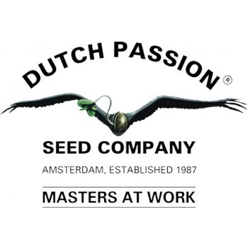 Dutch Passion White Widow semena neobsahují THC 3 ks