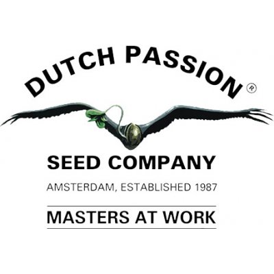 Dutch Passion Skywalker Haze semena neobsahují THC 10 ks – Zboží Dáma