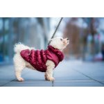 Vsepropejska Magie zimní bunda pro psa – Zboží Dáma