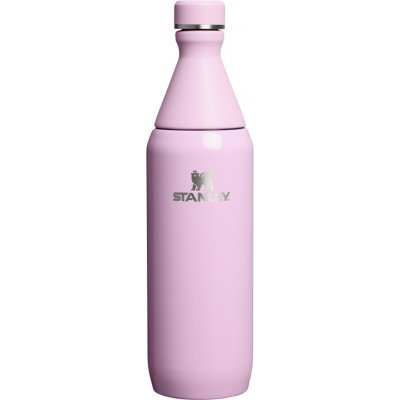 Stanley All Day Slim Bottle 600 ml Cherry Blossom – Hledejceny.cz