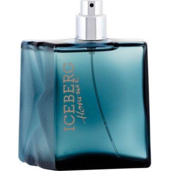 Iceberg Homme toaletní voda pánská 100 ml tester