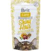 Pamlsek pro psa Brit Care Cat Snack Shiny Hair 50 g