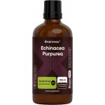 BrainMax Echinacea Alcohol Free Tincture Extract 100 ml – Hledejceny.cz