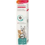 Pasta Beaphar IntestoPro pro psy nad 15 kg 2 x 20 ml – Hledejceny.cz