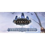 Pillars of Eternity: The White March Expansion Pass – Hledejceny.cz