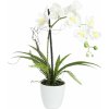 Květina Umělá květina Bílá orchidej s květináčem, 62 cm