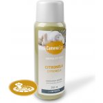 VÁGNER POOL citron 250 ml – Zboží Dáma VÁGNER POOL citron 250 ml – Zboží Dáma