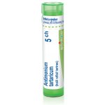 ANTIMONIUM TARTARICUM POR 5CH GRA 1X4G – Hledejceny.cz