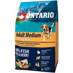 Ontario Adult Medium 7 Fish & Rice 2,25 kg – Hledejceny.cz