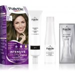 Palette Intensive Color Creme barva na vlasy ledový světle hnědý 5-1 – Sleviste.cz
