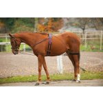 NORTON Lonžovací postroj – Zboží Dáma