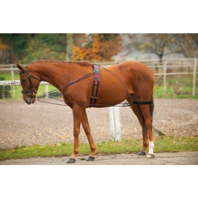 NORTON Lonžovací postroj – Zboží Dáma