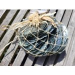 Dijk Natural Collection Mušle Capiz shell temně zelená 250 g – Zboží Dáma