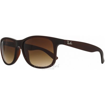 Ray-Ban RB4202 6073 13 – Hledejceny.cz