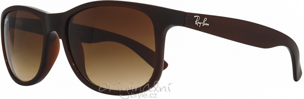 Ray-Ban RB4202 6073 13