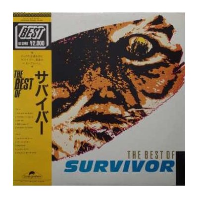 Survivor: The Best Of Survivor LP – Sleviste.cz