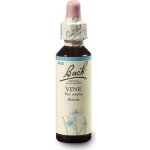 Bachovy květové esence Vinná réva Vine 20 ml – Hledejceny.cz