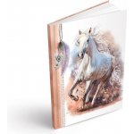 MFP Záznamová kniha A5 linka 100 listů – Zboží Dáma