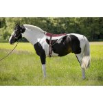 NORTON Jezdecký pad BAREBACK – Zbozi.Blesk.cz